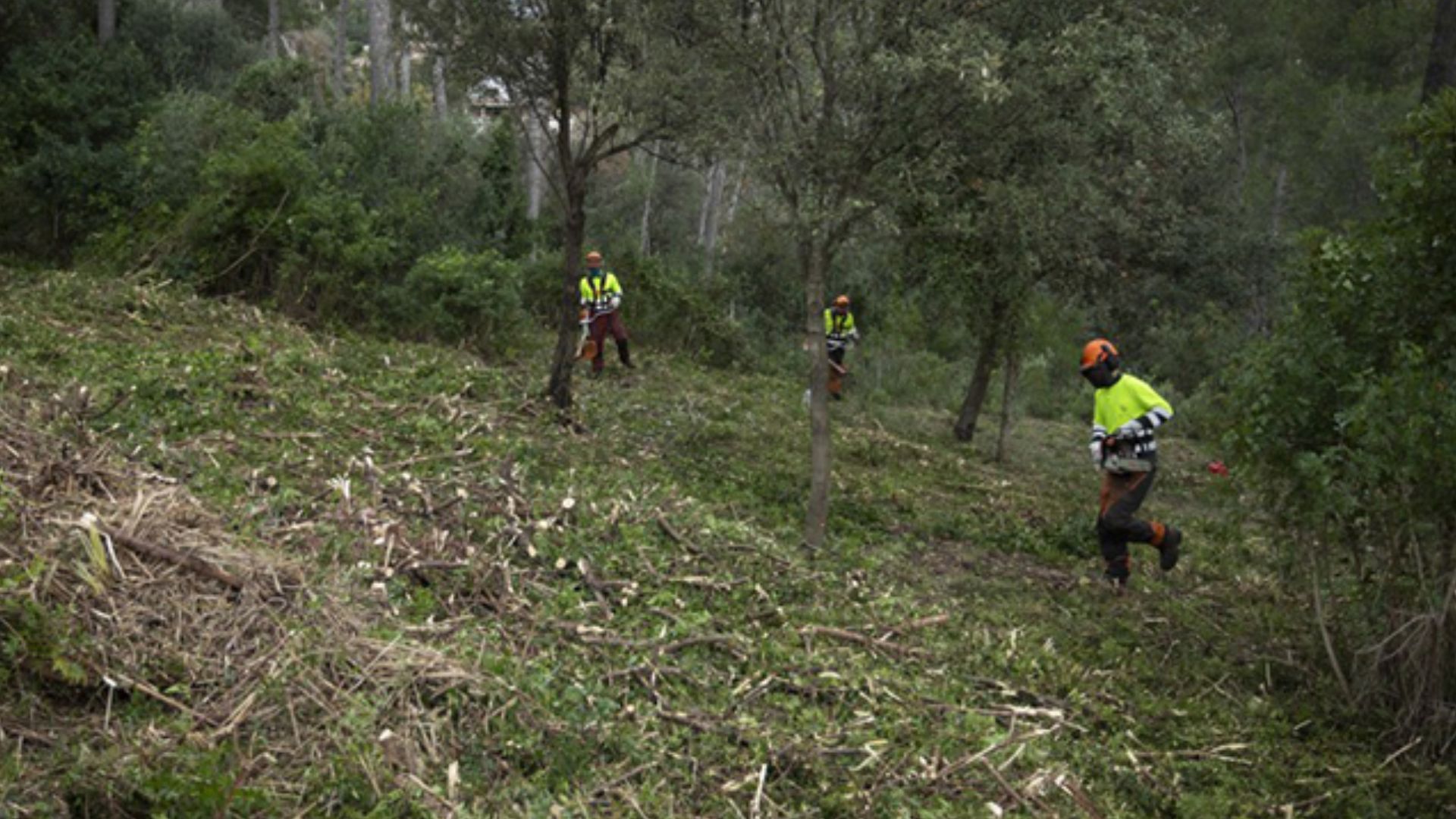 Sant Boi reforça la prevenció d’incendis forestals amb fons metropolitans