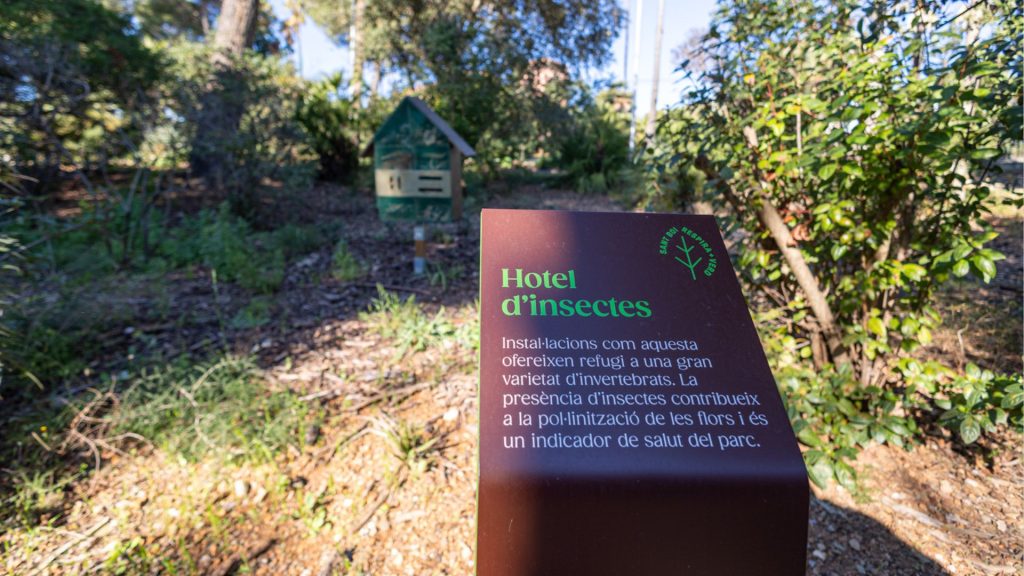 El llac del Palau Marianao torna a la vida així ha canviat un dels espais més estimats de Sant Boi 
