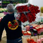 Sant Boi es consolida com a epicentre de la rosa per Sant Jordi amb 2,3 milions d’unitats distribuïdes