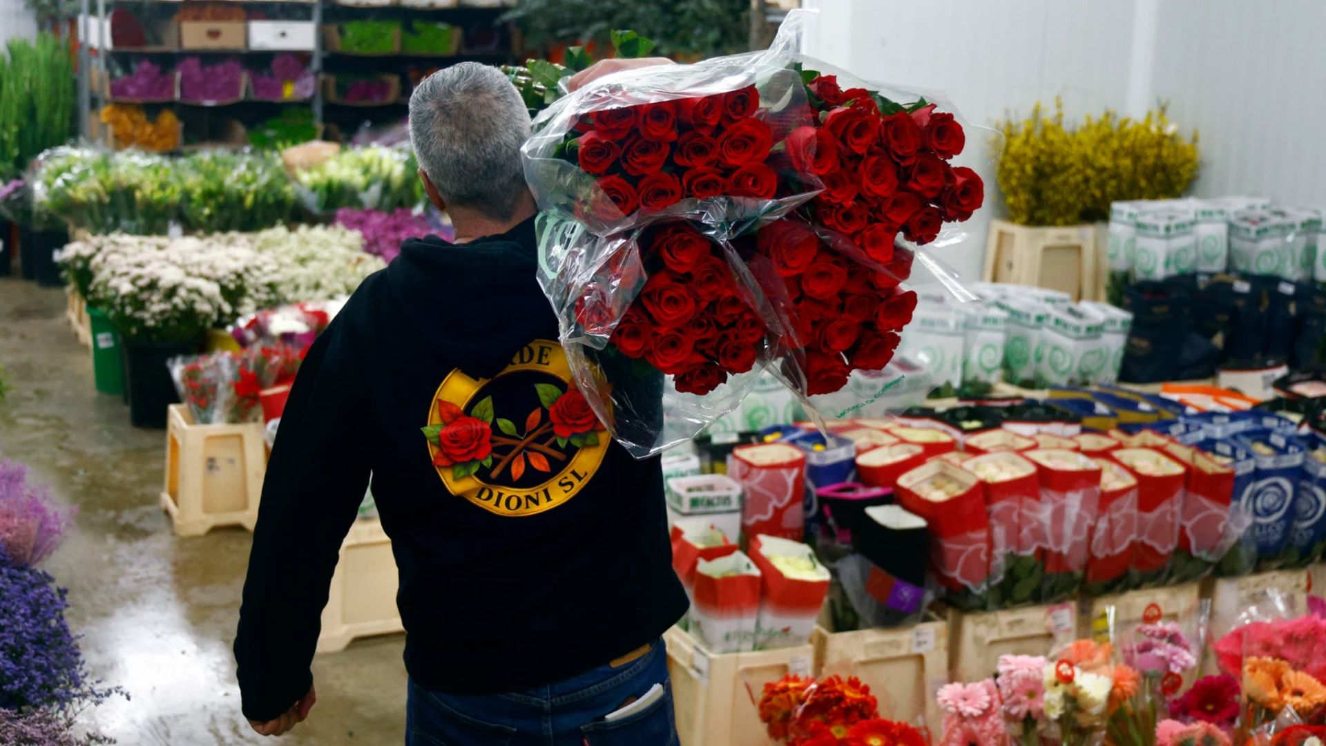 Sant Boi es consolida com a epicentre de la rosa per Sant Jordi amb 2,3 milions d’unitats distribuïdes
