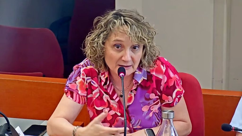 Vint-i-cinc actuacions contra les paneroles a Vinyets què fer si detectes una plaga a Sant Boi 
