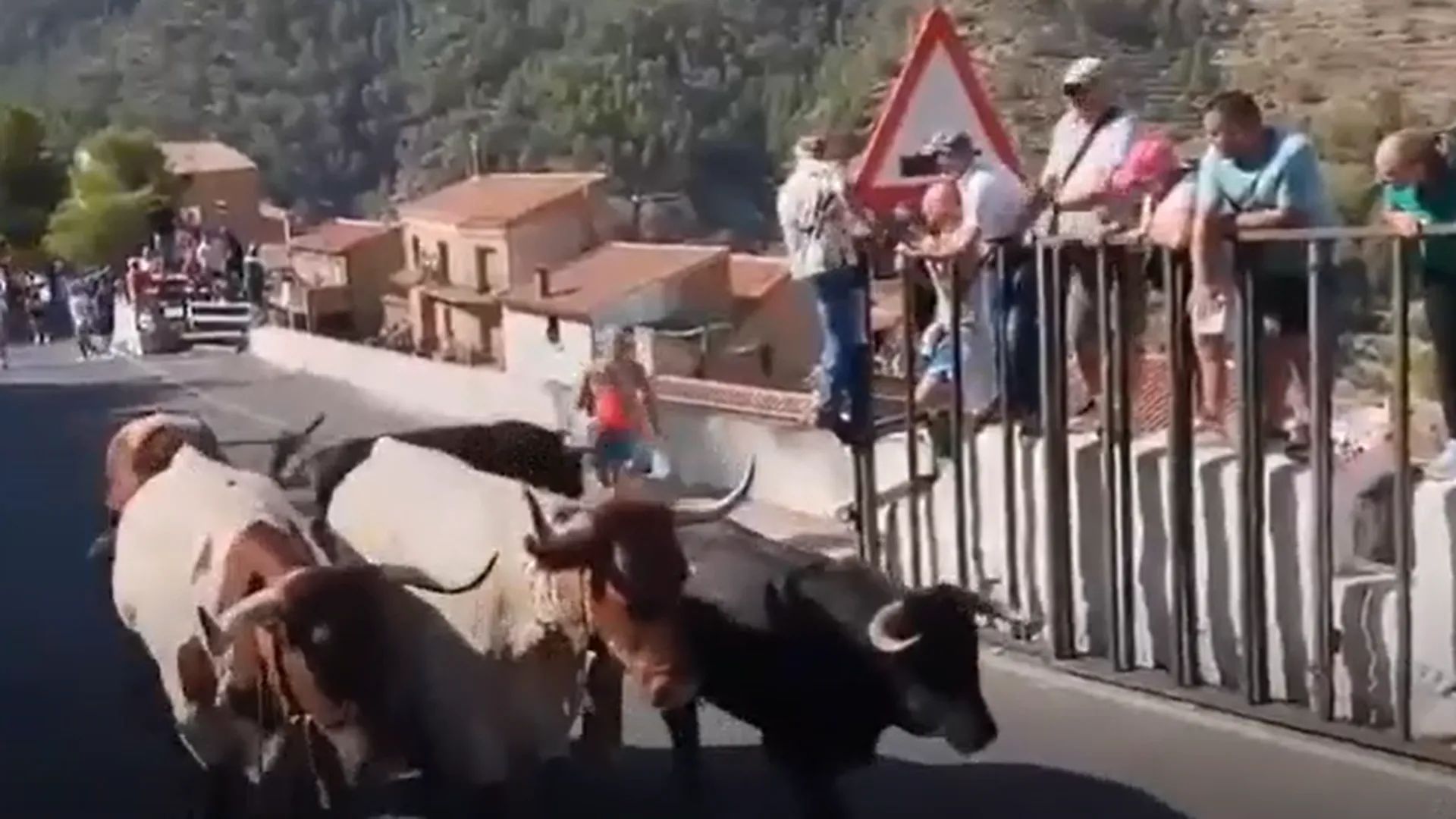 Una veïna de Sant Boi de 64 anys mor per una cornada de toro en uns correbous