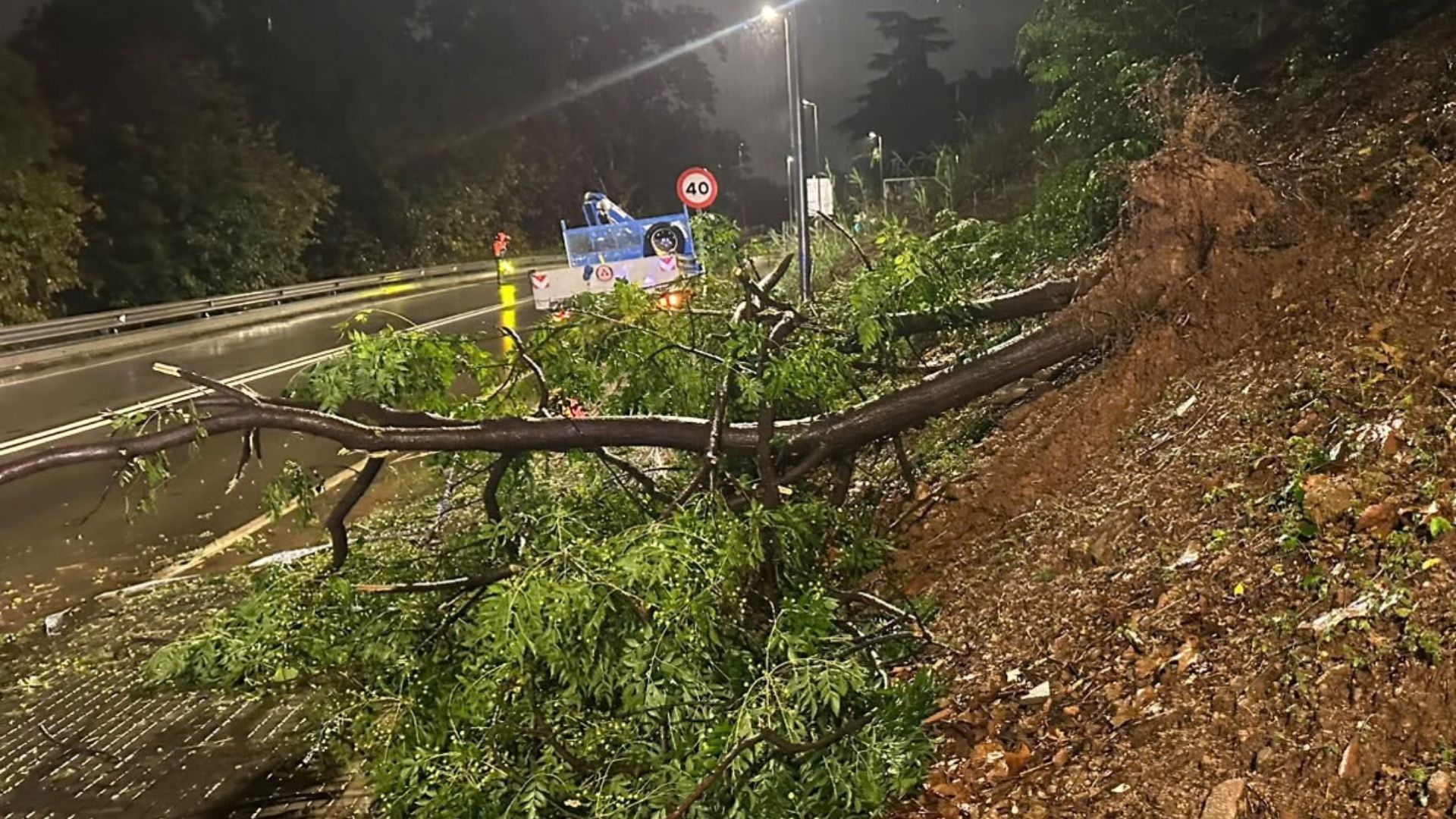 Cau un arbre a Ciutat Cooperativa i bloqueja la vorera de la BV-2002 en ple temporal a Sant Boi