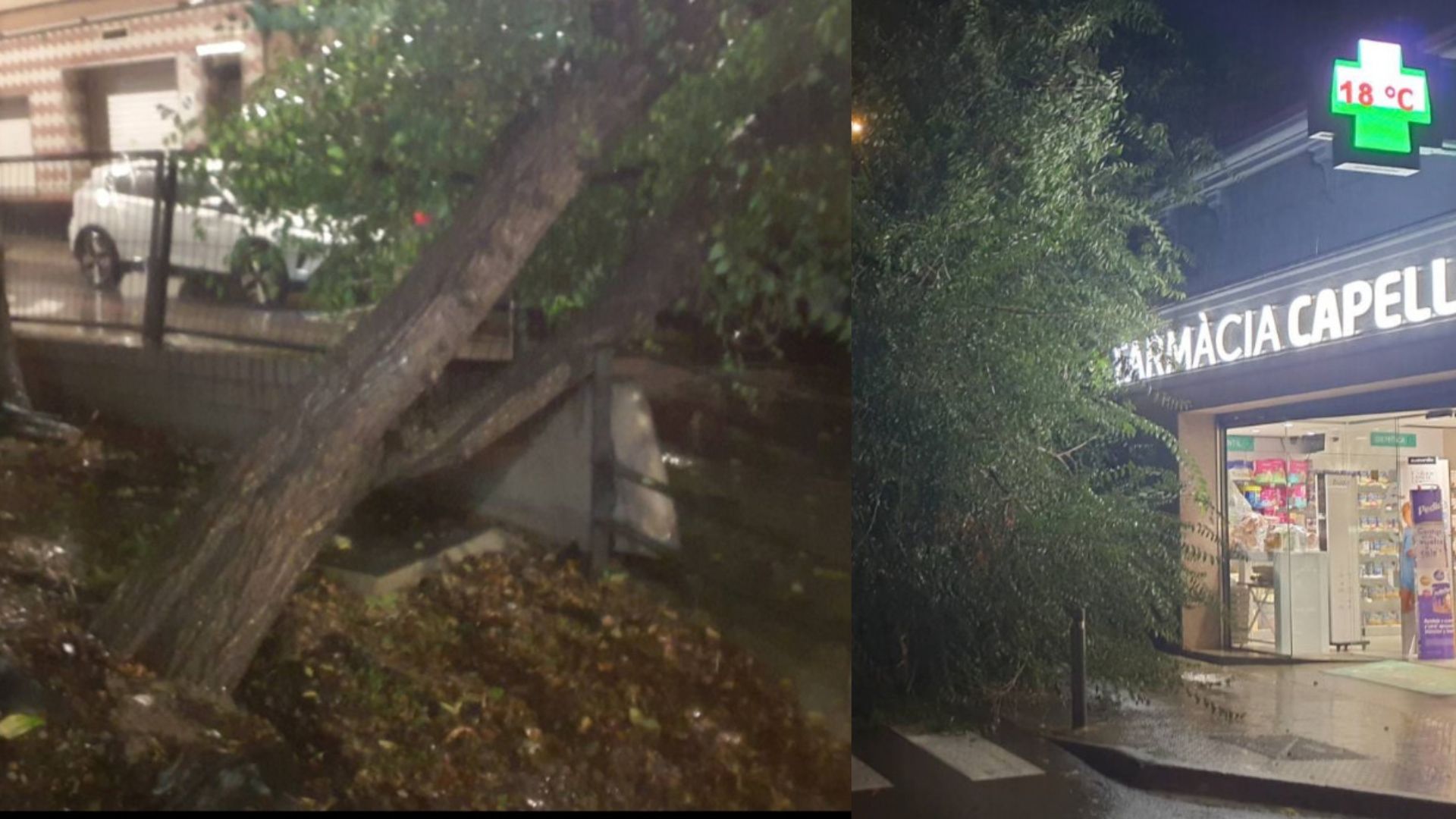 Ensurt al CAP Montclar de Sant Boi un arbre cau sobre la vorera i talla la carretera en ple temporal